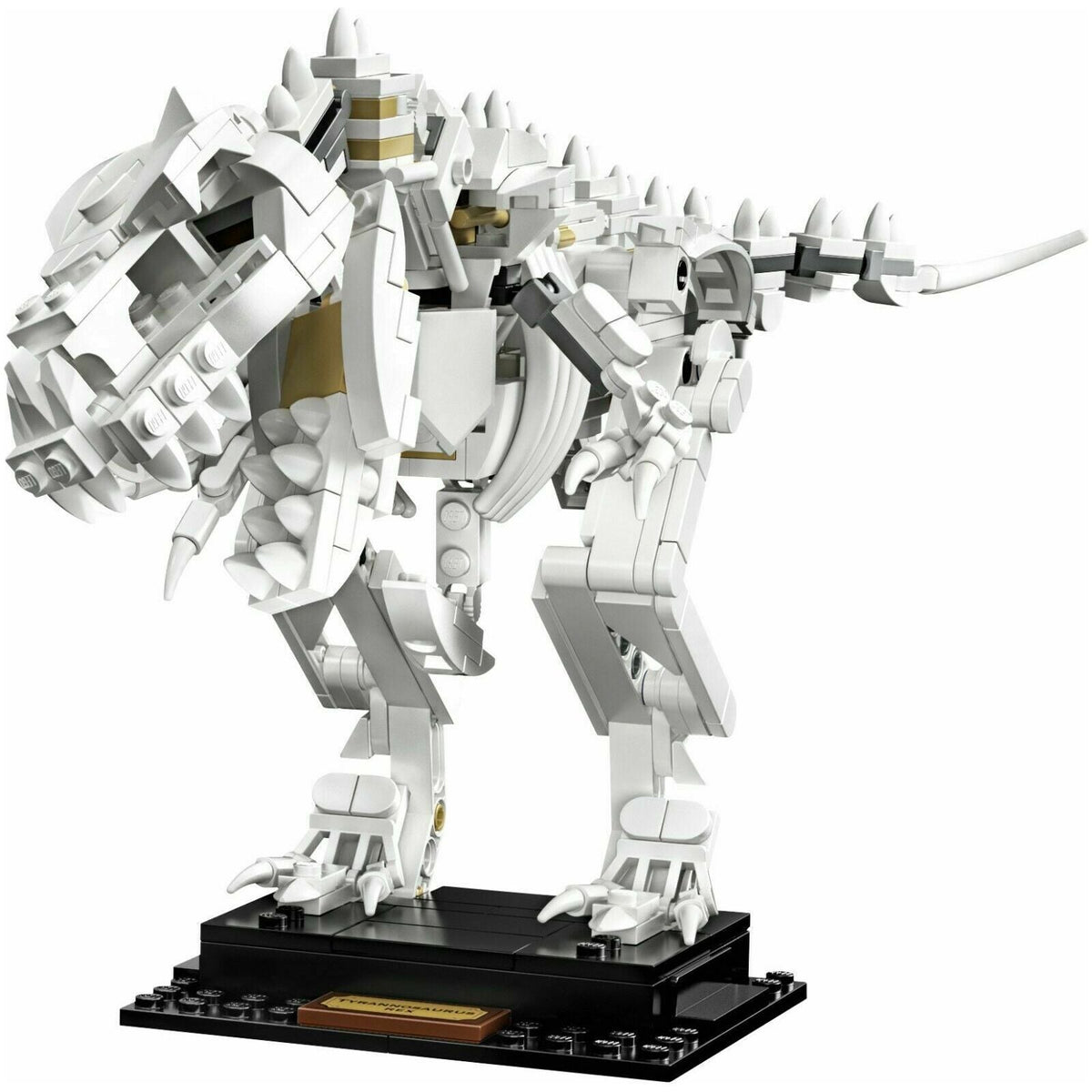 Lego Ideas Dinosaur Fossils 21320