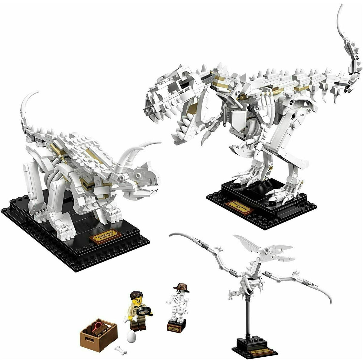 Lego Ideas Dinosaur Fossils 21320
