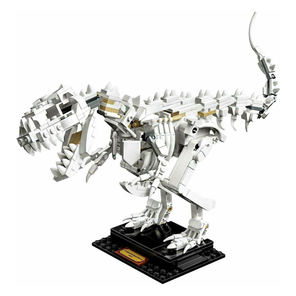 Lego Ideas Dinosaur Fossils 21320